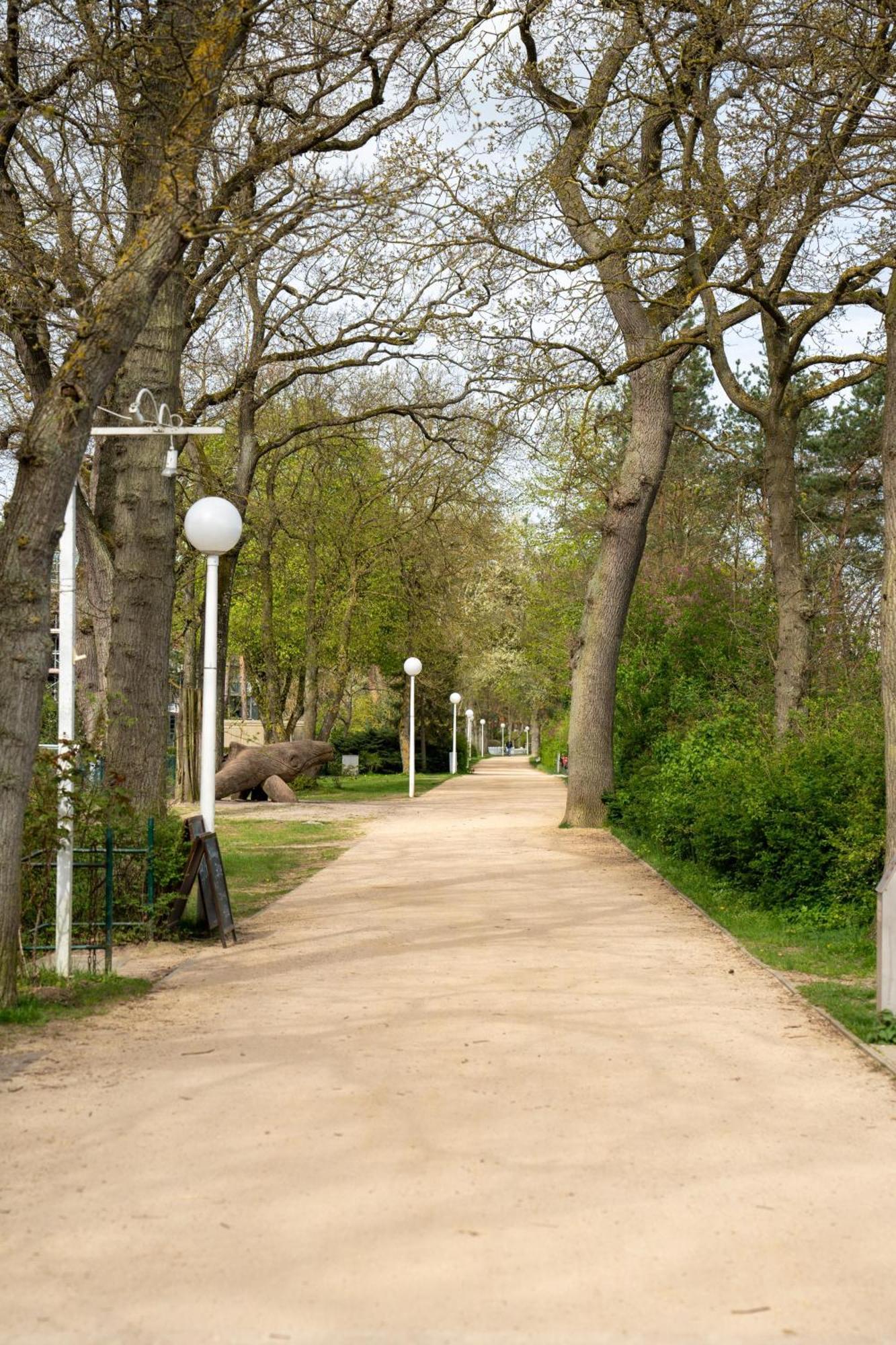 Strandvilla Drei Maederl Haus Boltenhagen  Eksteriør billede